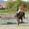 Babie Lato 2016
